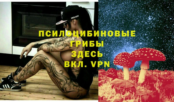 амф Абдулино