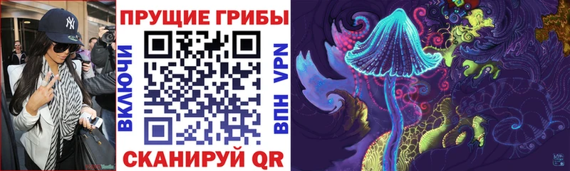 Галлюциногенные грибы GOLDEN TEACHER  Керчь 
